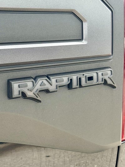 2019 FORD TRUCK F-150 RAPTOR