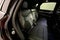 2020 Cadillac XT5 Premium Luxury FWD